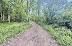 Big Pigeon Road, Procious, WV 25164