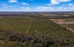 14350 Interstate 35, Von Ormy, TX 78073