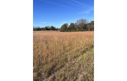 HWY 57, Moscow, TN 38057