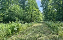 80AC off FOREST RD 3350, Iron River, MI 49935