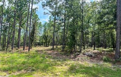 State Highway 225, Bay Minette, AL 36507
