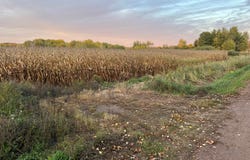 Holly Rd, Pine City, MN 55063