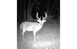 1763 FM 2118, Bagwell, TX 75412