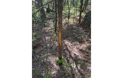 Hobby Coop Road, THAXTON, MS 38871