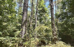 1 County Road 24, Enterprise, MS 39330