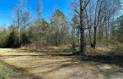D-4-A Stella Ln, Walker, LA 70785