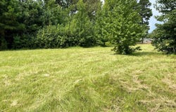 1992 BUCK WRIGHT ROAD, Ashdown, AR 71822