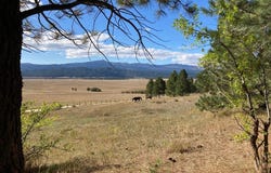 10092 Timberrim Drive, Cascade, ID 83611