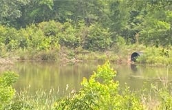 Bear Fork Road, Mobile, AL 36618
