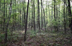 00004 Windridge Lane, Temple, GA 30179