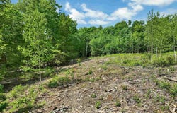 40 Lowden Road, Barnstead, NH 03225