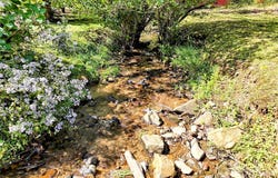 57 Pebble Drive, Whittier, NC 28789