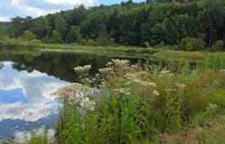 1332 Center Rd, South Plymouth, NY 13844