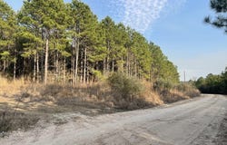 Tract 21 Kickapoo Road, Groveton, TX 75845