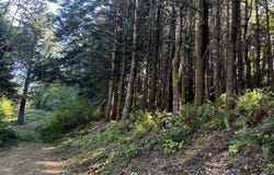 Horizon, GoldBeach, OR 97444
