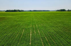 Wayside Road, Atmore, AL 36502