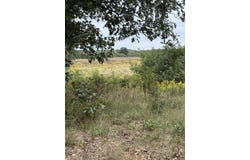 3307 S Wheeler Road, Pembroke Twp, IL 60958