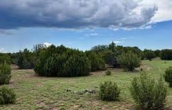 83 County Rd. 8128, Concho, AZ 85924