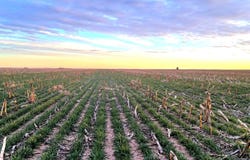 300th Ave, Nekoma, KS 67559