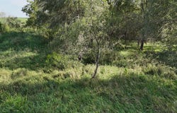Hogback Bridge Road, Winterset, IA 50273