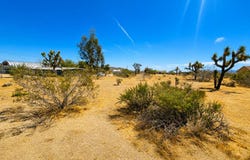 Marvin Drive, Yucca Valley, CA 92284
