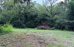8 Lot E Purvis, Geneva, AL 36340
