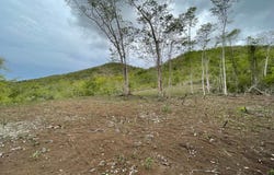 Pasto, Coamo, PR 00769