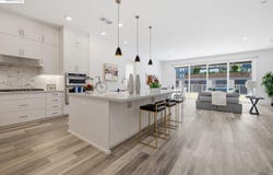 2359 Halogen Cmn, Fremont, CA 94539