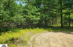 Turtle Lake Road, Prescott, MI 48756