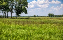 00 Egypt Lane, Washington, TX 77880