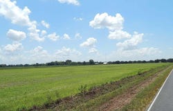 2700 Blk Peach Bloom Highway lot: 4, Church Point, LA 70525