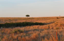 N CR 176, Gage, OK 73843-0000