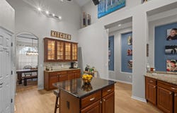 7729 ARELLI Drive, TRINITY, FL 34655