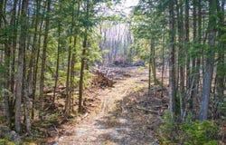 Hominy Pot Road, Sutton, NH 03260