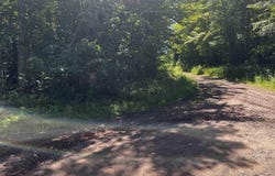 56 Acres Halverson Road, Skandia, MI 49885