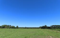 Tema Road, Hartsville, SC 29550