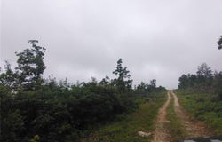 Tract 3 Off Highway O, Belleview, MO 63623