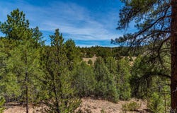 TBD L Arnold Dr, Cotopaxi, CO 81223