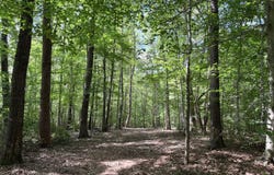 33 Piney Mountain Lane, Shipman, VA 22971