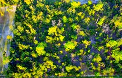 Sea Oaks Drive lot: 18 And 19, Perry, FL 32348