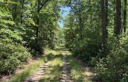 Greenwood Road, Curwensville, PA 16833