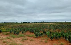 80 N Council Rd, Crescent, OK 73028