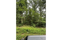 15530 Birdsong Rd, HOLLADAY, TN 38341