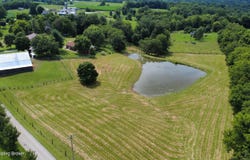 2714 Pea Ridge Rd, Waddy, KY 40076
