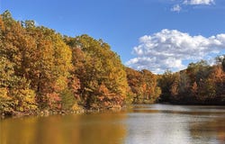 95+/- Acres State Hwy AA, Wright City, MO 63390