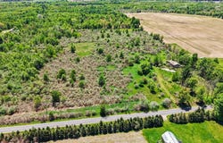 7015 E Harrison Road, Walkerville, MI 49459
