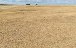 TBD Tract 1 County Road 3565, China Spring, TX 76633