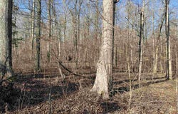 1245 Strike King Dr (Lot 191), Cedar Grove, TN 38321