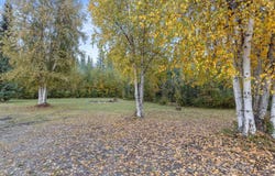 731 KEELING ROAD, North Pole, AK 99705-9999