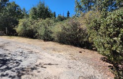 522 Elder Drive, Cedar Glen, CA 92321